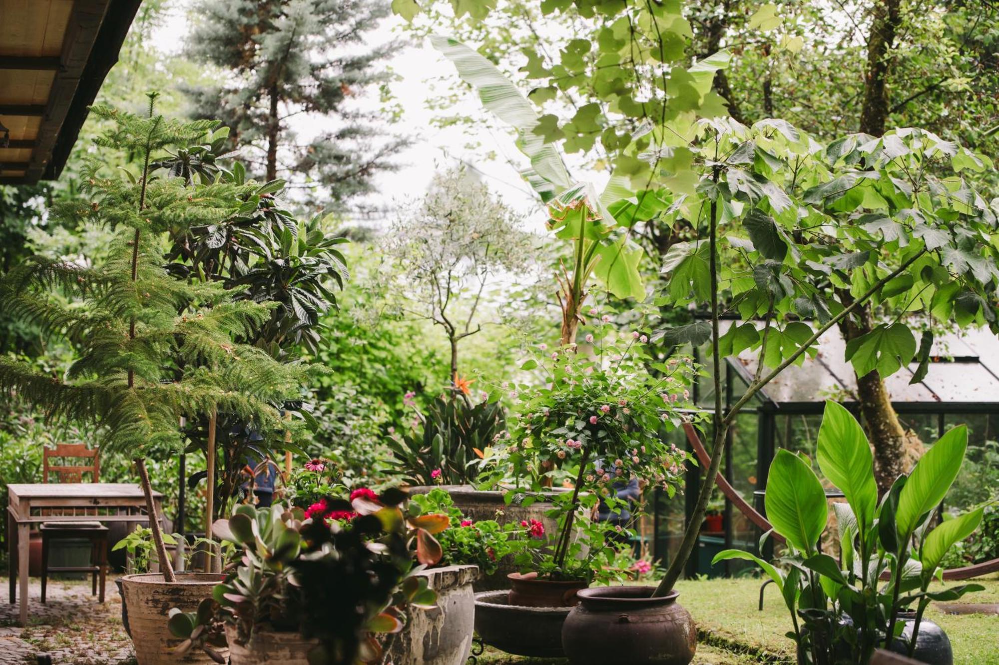 Sonnhof Hotel Bad Ischl Ngoại thất bức ảnh